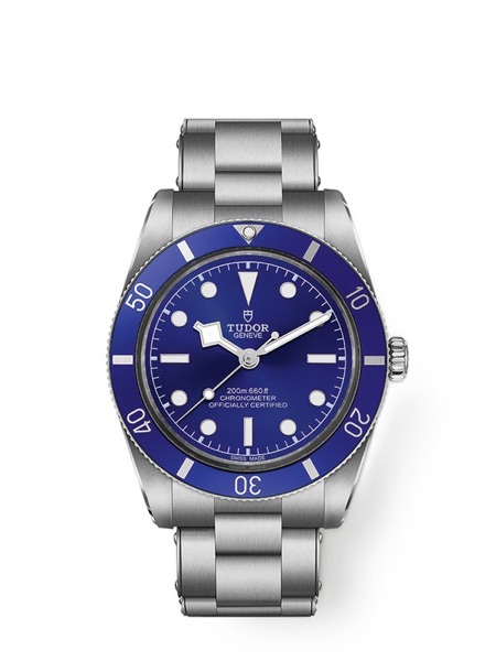Tudor Ankauf Schwerin, Black Bay, Pelagos verkaufen